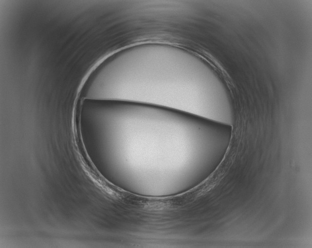 X0000082180788200702092308