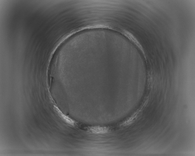 X0000082180789200702092308