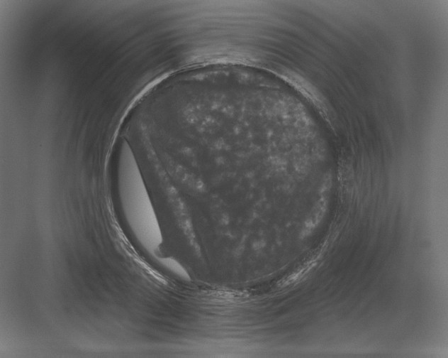 X0000082180790200702092308
