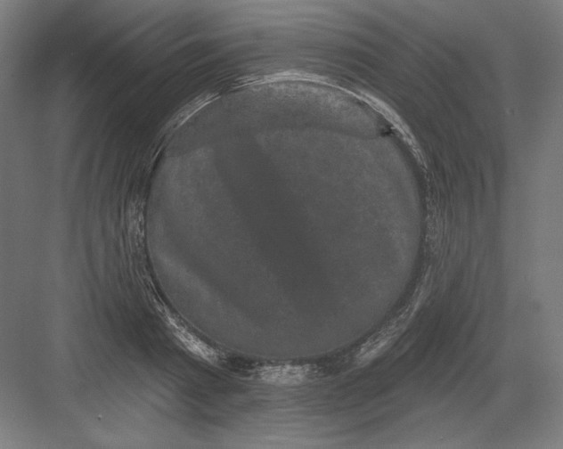 X0000082180793200702092308