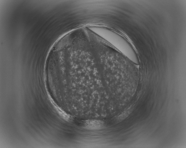 X0000082180795200702092308