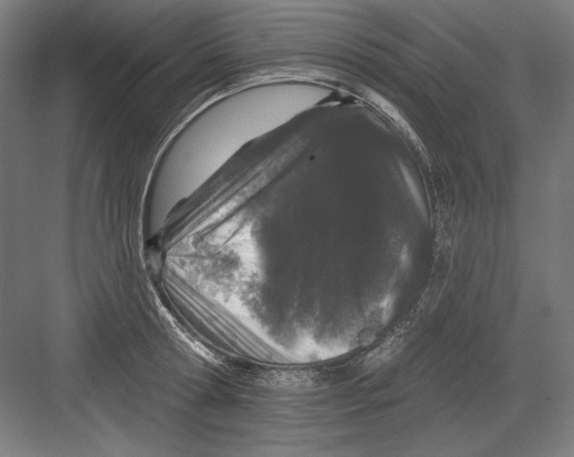 X0000082180802200702092308
