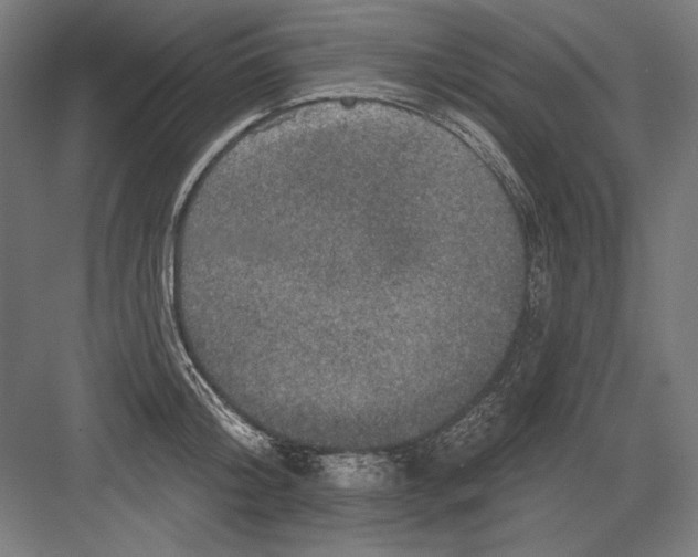 X0000082180804200702092308