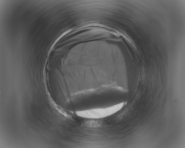 X0000082180806200702092308