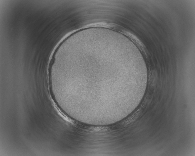 X0000082180808200702092308