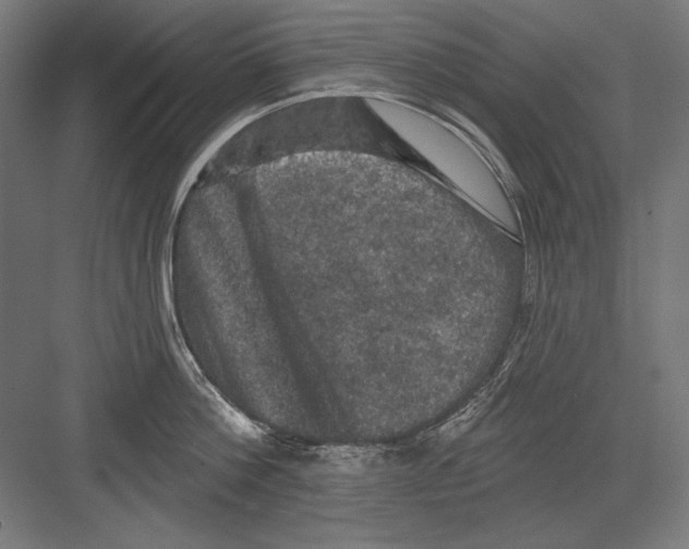 X0000082180812200702092308