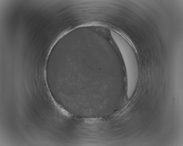 X0000082180813200702092308