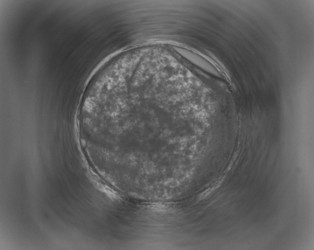 X0000082180814200702092308