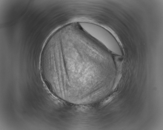 X0000082180815200702092308