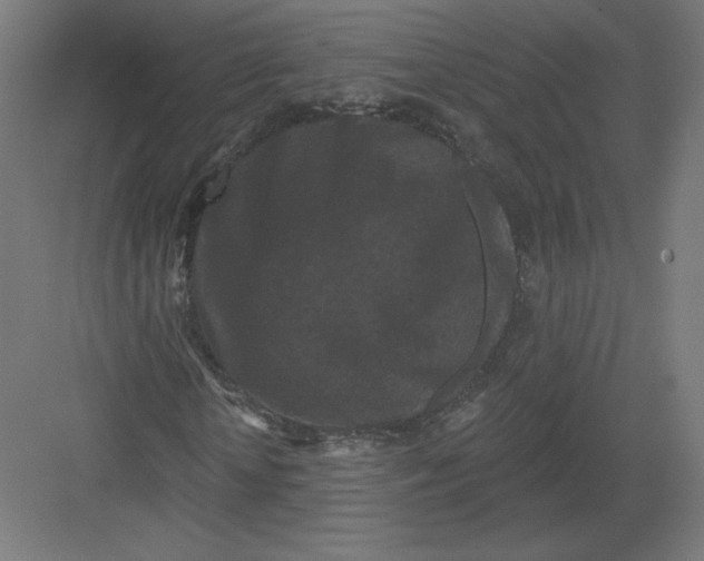 X0000082180818200702092307