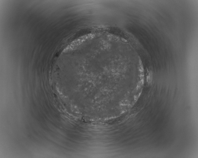 X0000082180819200702092307
