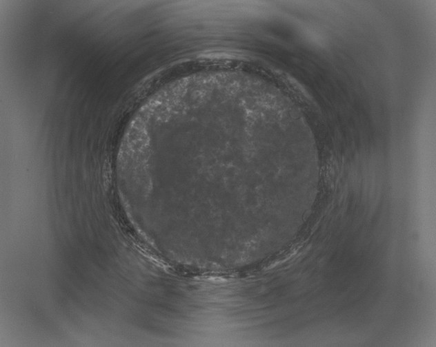 X0000082180821200702092307