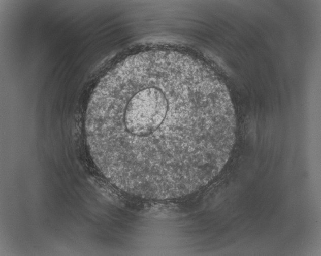 X0000082180824200702092307