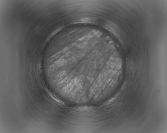 X0000082180826200702092307