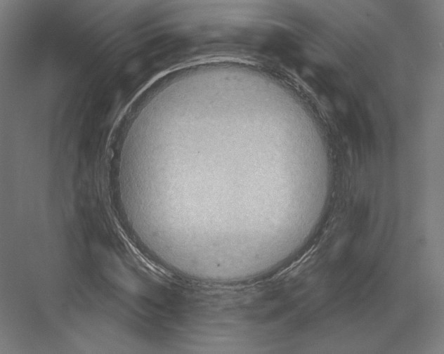 X0000082180828200702092307