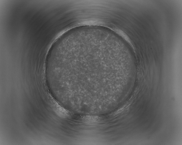 X0000082180831200702092307