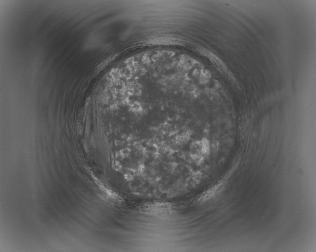 X0000082180833200702092307
