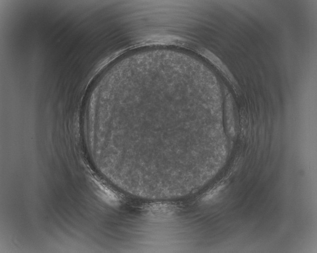 X0000082180834200702092307