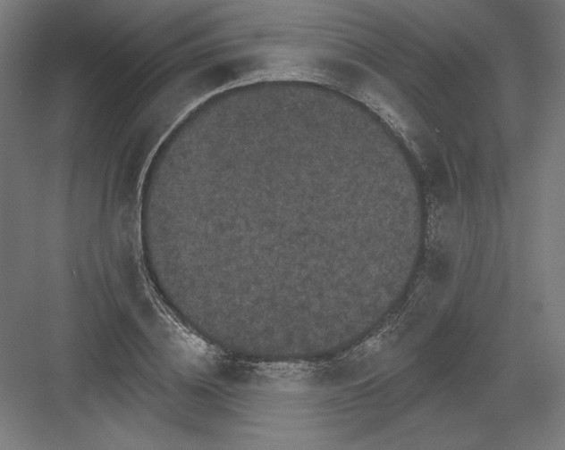 X0000082180836200702092307