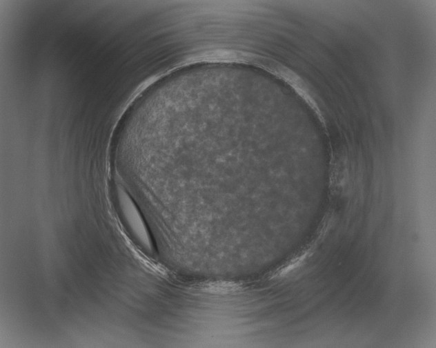 X0000082180837200702092307