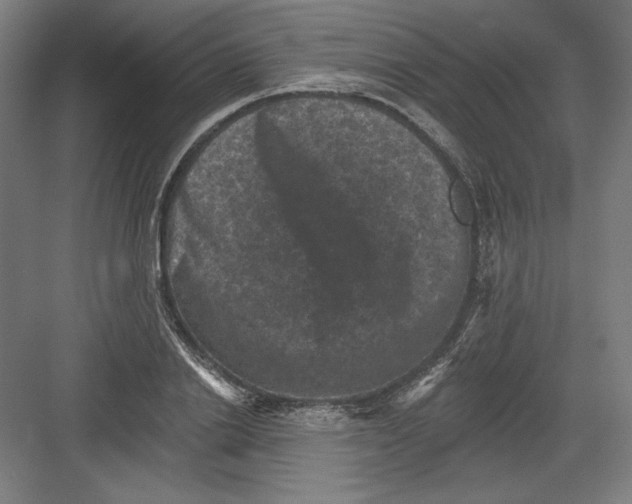 X0000082180838200702092307