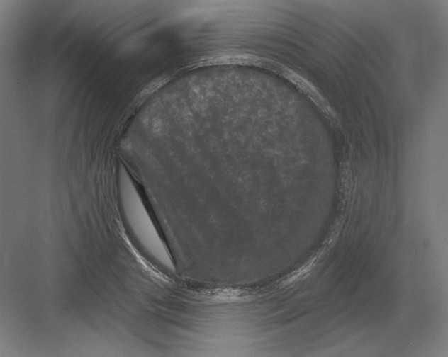 X0000082180841200702092307