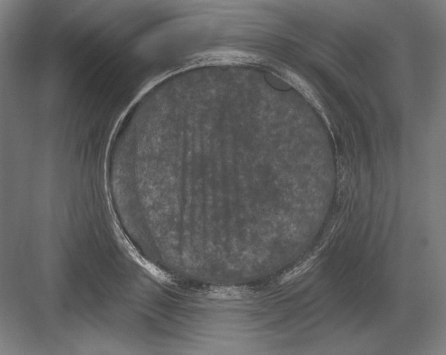 X0000082180843200702092307