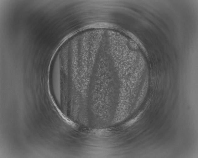 X0000082180845200702092307