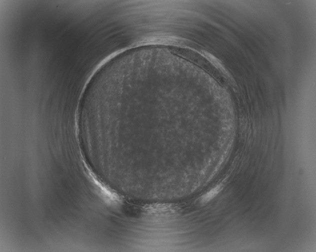 X0000082180846200702092307