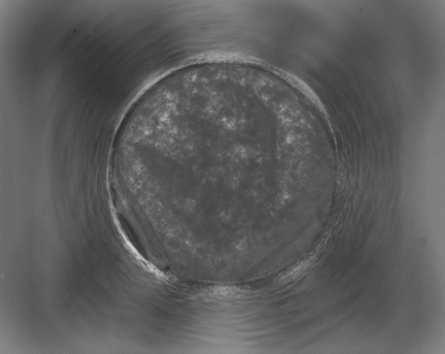 X0000082180847200702092307