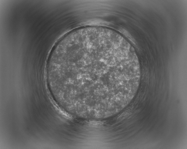 X0000082180848200702092307