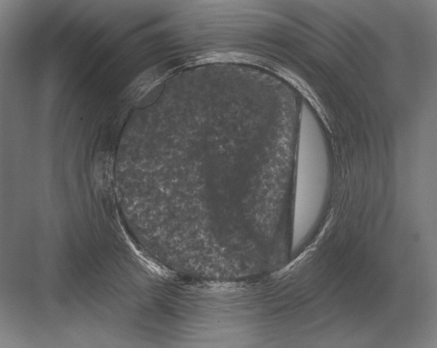 X0000082180849200702092307