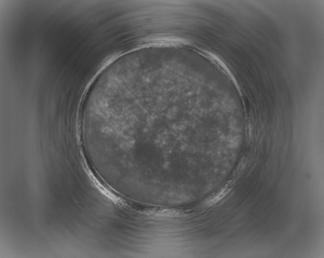 X0000082180851200702092307