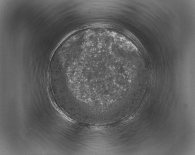 X0000082180852200702092307