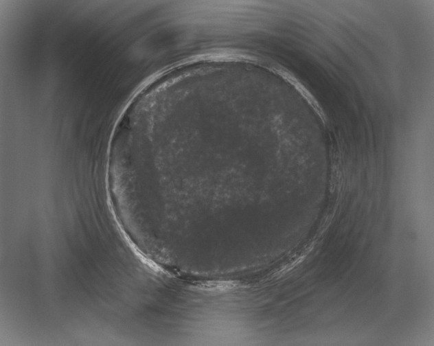 X0000082180853200702092307