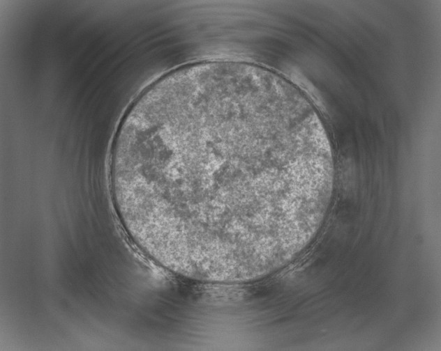 X0000082180856200702092307