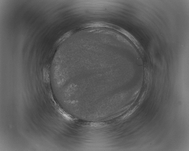 X0000082180857200702092307