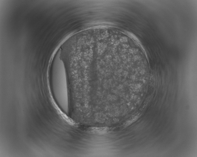 X0000082180859200702092308