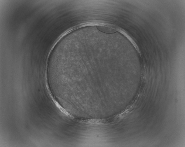 X0000082180861200702092308