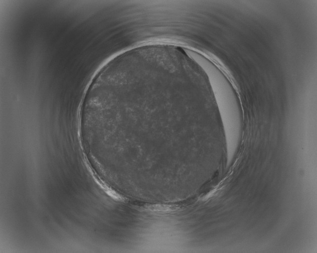 X0000082180862200702092308