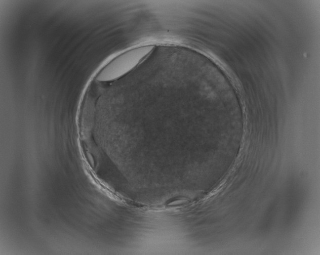 X0000082180864200702092308