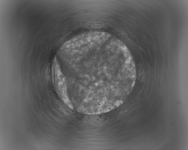 X0000082180866200702092307