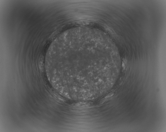 X0000082180867200702092307