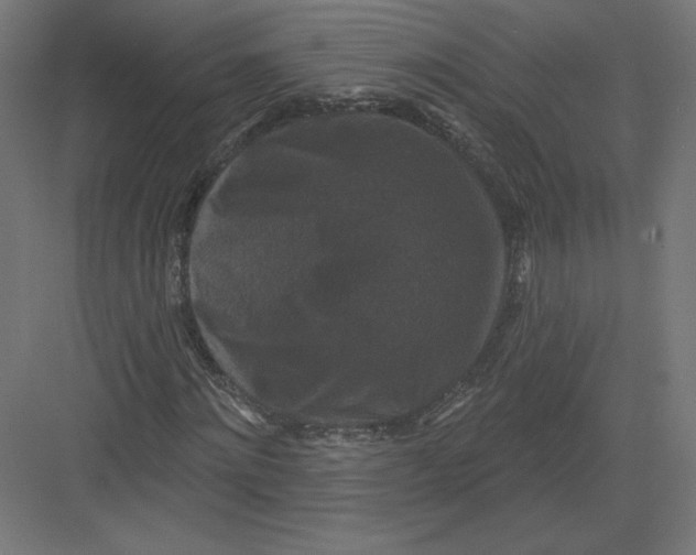 X0000082180868200702092307