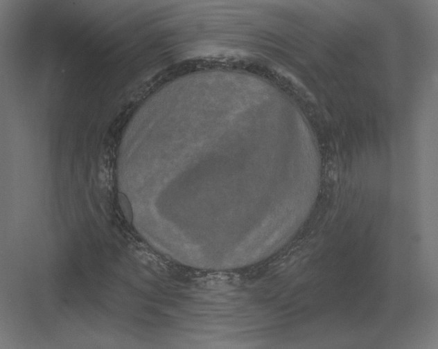 X0000082180869200702092307