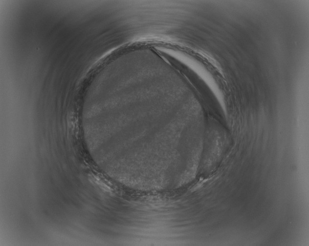 X0000082180872200702092307