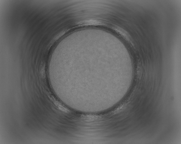 X0000082180873200702092307