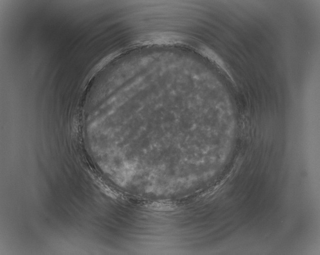 X0000082180874200702092307
