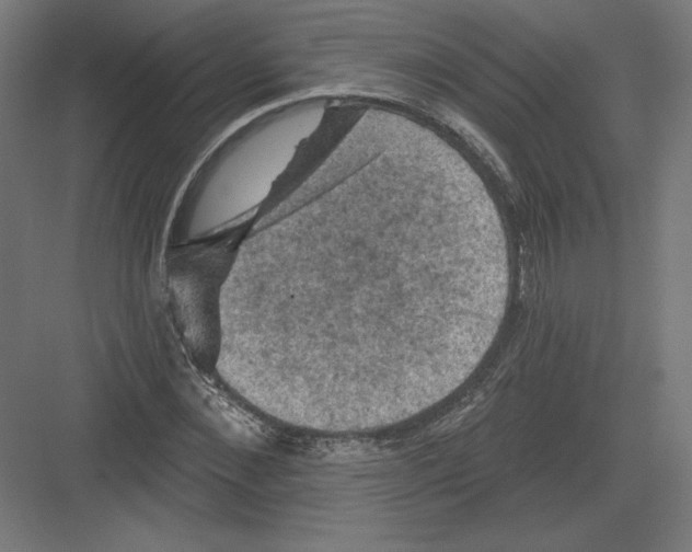 X0000082180876200702092307