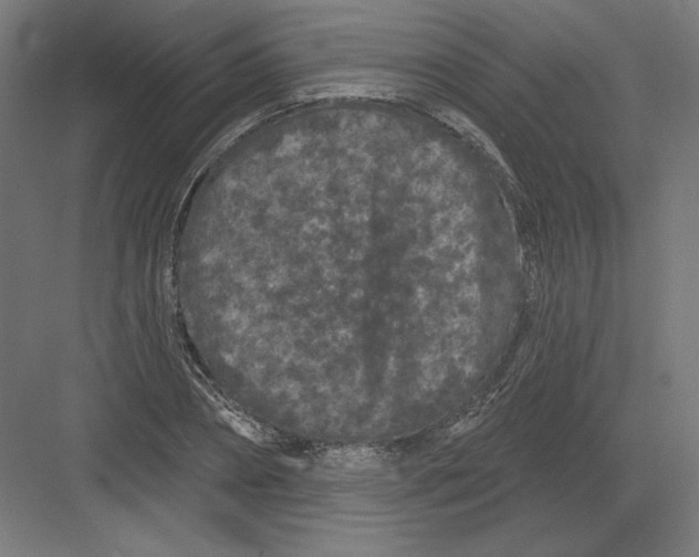 X0000082180882200702092307